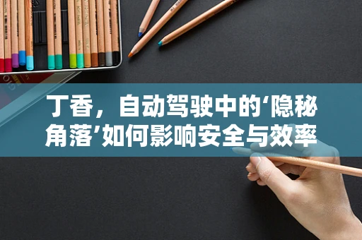 丁香，自动驾驶中的‘隐秘角落’如何影响安全与效率？