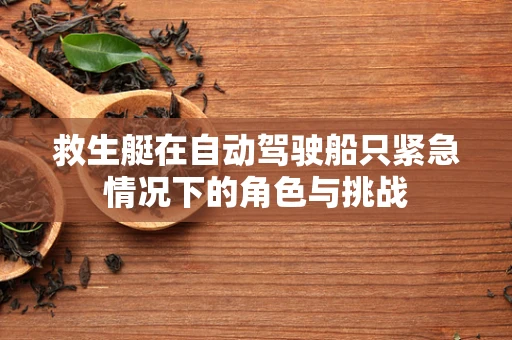 救生艇在自动驾驶船只紧急情况下的角色与挑战