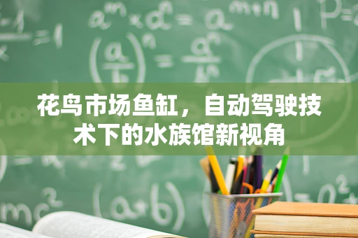 花鸟市场鱼缸，自动驾驶技术下的水族馆新视角