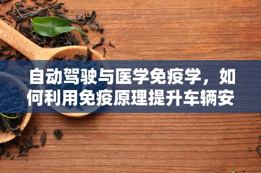 自动驾驶与医学免疫学，如何利用免疫原理提升车辆安全？