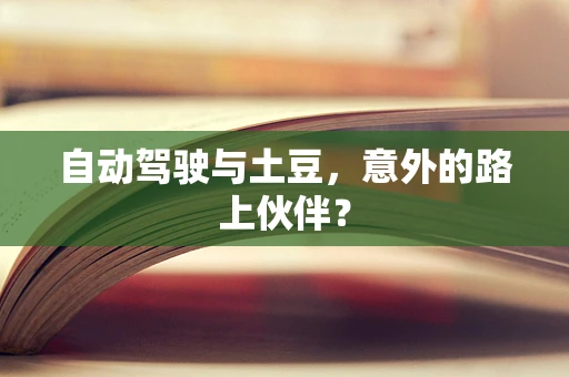 自动驾驶与土豆，意外的路上伙伴？