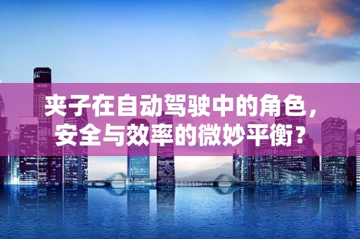 夹子在自动驾驶中的角色，安全与效率的微妙平衡？