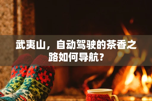 武夷山，自动驾驶的茶香之路如何导航？