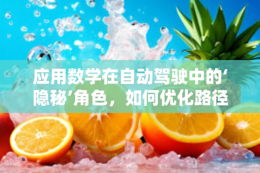 应用数学在自动驾驶中的‘隐秘’角色，如何优化路径规划与决策？