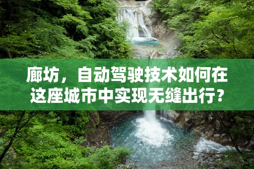 廊坊，自动驾驶技术如何在这座城市中实现无缝出行？