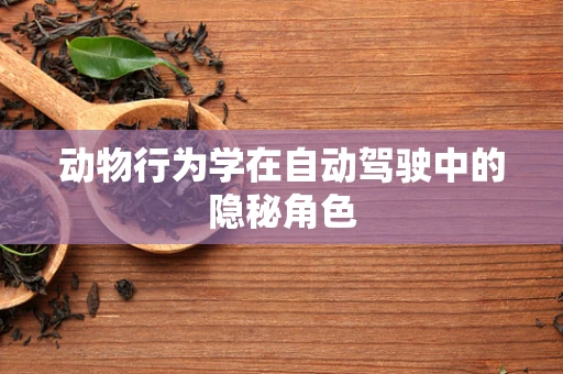 动物行为学在自动驾驶中的隐秘角色