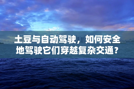 土豆与自动驾驶，如何安全地驾驶它们穿越复杂交通？