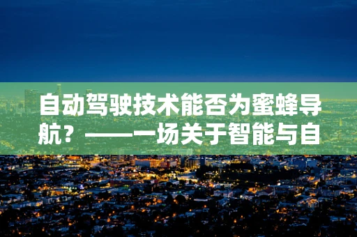 自动驾驶技术能否为蜜蜂导航？——一场关于智能与自然的奇妙设想