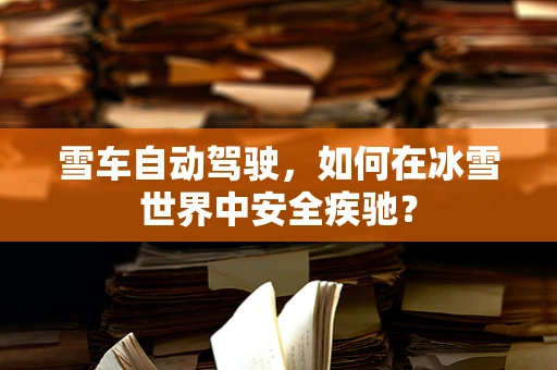 雪车自动驾驶，如何在冰雪世界中安全疾驰？