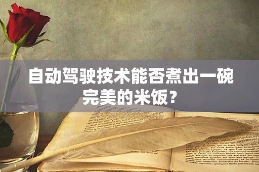 自动驾驶技术能否煮出一碗完美的米饭？