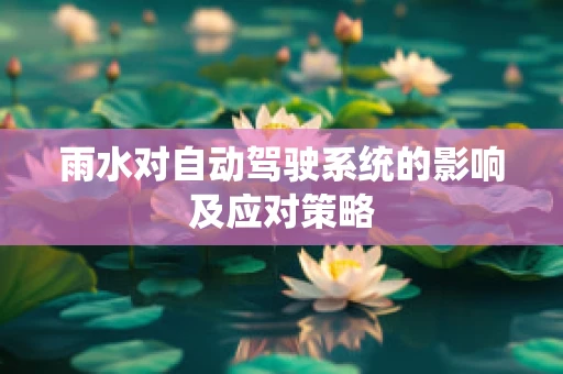 雨水对自动驾驶系统的影响及应对策略