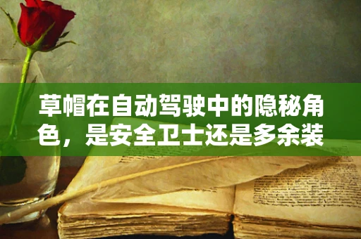 草帽在自动驾驶中的隐秘角色，是安全卫士还是多余装饰？