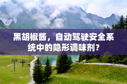 黑胡椒酱，自动驾驶安全系统中的隐形调味剂？
