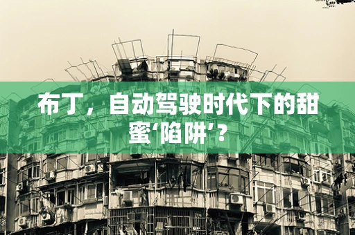 布丁，自动驾驶时代下的甜蜜‘陷阱’？