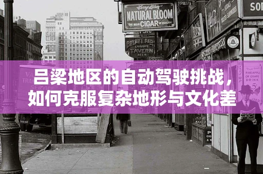 吕梁地区的自动驾驶挑战，如何克服复杂地形与文化差异？
