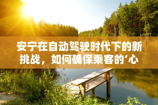 安宁在自动驾驶时代下的新挑战，如何确保乘客的‘心’与‘行’同步安全？