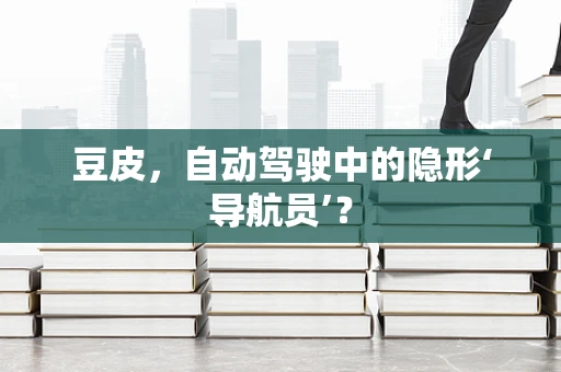 豆皮，自动驾驶中的隐形‘导航员’？