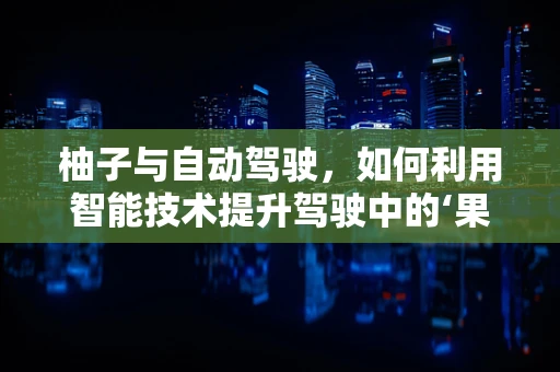 柚子与自动驾驶，如何利用智能技术提升驾驶中的‘果’味体验？