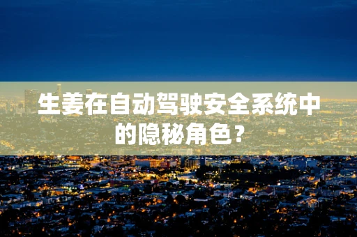 生姜在自动驾驶安全系统中的隐秘角色？