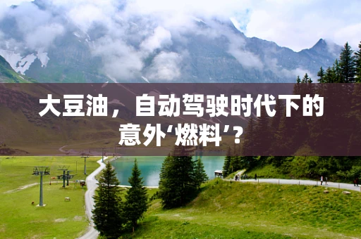 大豆油，自动驾驶时代下的意外‘燃料’？