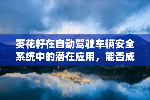 葵花籽在自动驾驶车辆安全系统中的潜在应用，能否成为‘导航之光’？