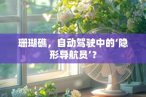 珊瑚礁，自动驾驶中的‘隐形导航员’？