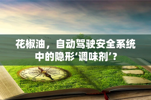 花椒油，自动驾驶安全系统中的隐形‘调味剂’？