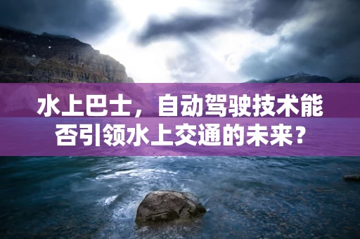 水上巴士，自动驾驶技术能否引领水上交通的未来？