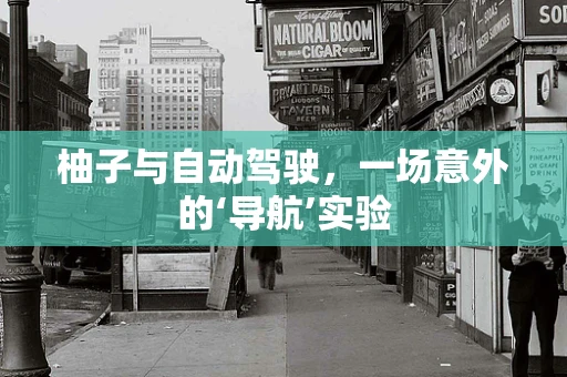 柚子与自动驾驶，一场意外的‘导航’实验