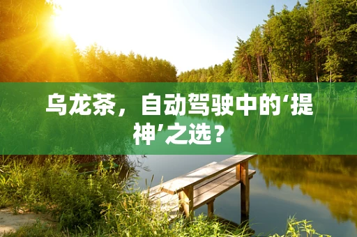 乌龙茶，自动驾驶中的‘提神’之选？