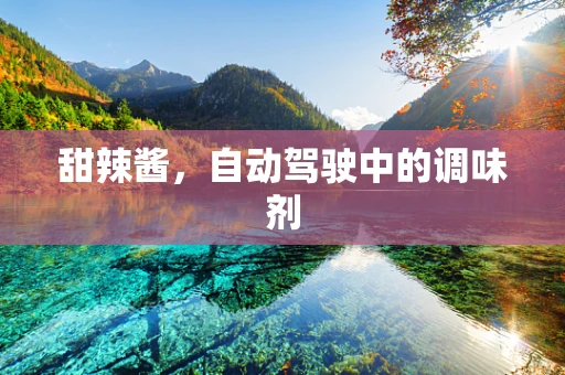 甜辣酱，自动驾驶中的调味剂