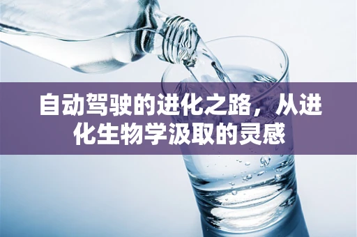 自动驾驶的进化之路，从进化生物学汲取的灵感