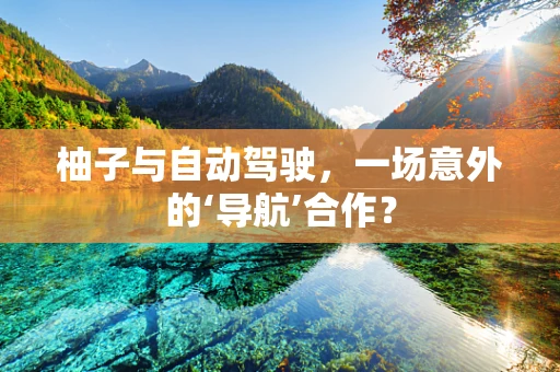 柚子与自动驾驶，一场意外的‘导航’合作？