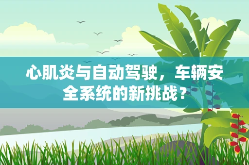 心肌炎与自动驾驶，车辆安全系统的新挑战？