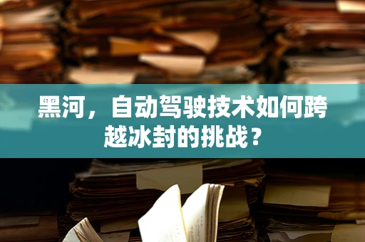 黑河，自动驾驶技术如何跨越冰封的挑战？
