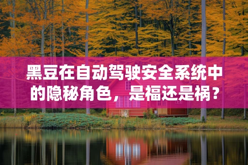 黑豆在自动驾驶安全系统中的隐秘角色，是福还是祸？