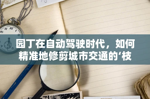 园丁在自动驾驶时代，如何精准地修剪城市交通的‘枝叶’？
