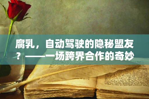 腐乳，自动驾驶的隐秘盟友？——一场跨界合作的奇妙设想