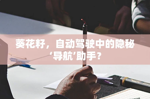 葵花籽，自动驾驶中的隐秘‘导航’助手？