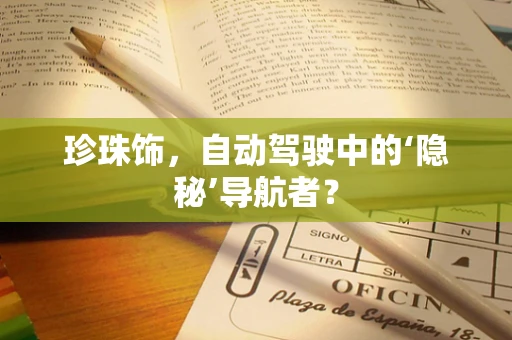 珍珠饰，自动驾驶中的‘隐秘’导航者？