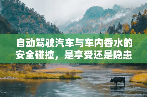 自动驾驶汽车与车内香水的安全碰撞，是享受还是隐患？