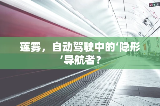 莲雾，自动驾驶中的‘隐形’导航者？