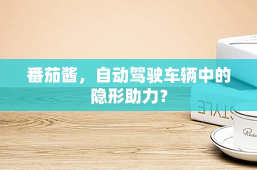 番茄酱，自动驾驶车辆中的隐形助力？