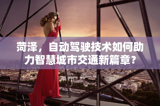 菏泽，自动驾驶技术如何助力智慧城市交通新篇章？