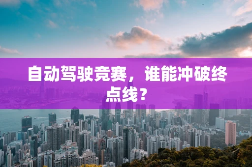 自动驾驶竞赛，谁能冲破终点线？