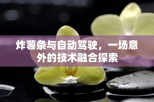炸薯条与自动驾驶，一场意外的技术融合探索