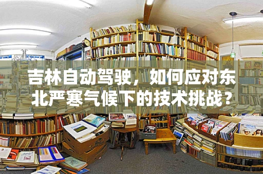 吉林自动驾驶，如何应对东北严寒气候下的技术挑战？