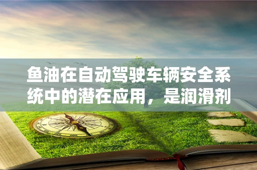 鱼油在自动驾驶车辆安全系统中的潜在应用，是润滑剂还是智能增强器？