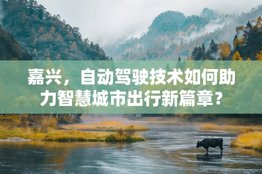 嘉兴，自动驾驶技术如何助力智慧城市出行新篇章？