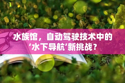 水族馆，自动驾驶技术中的‘水下导航’新挑战？